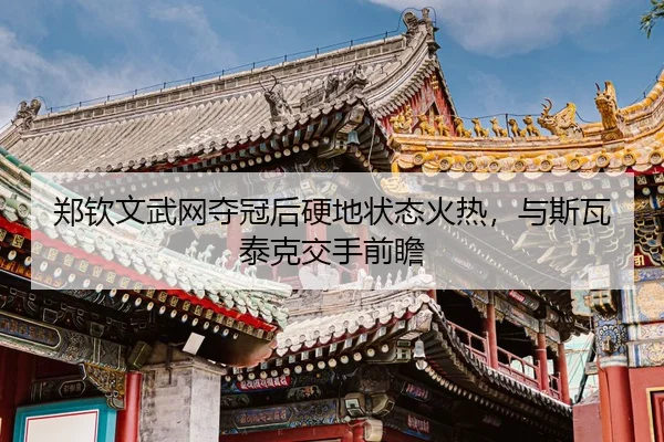 zheng-qin-wen-wu-wang-duo-guan-hou-ying-di-zhuang-tai-huo-re-yu-si-wa-tai-ke-jiao-shou-qian-zhan-3-601.jpg