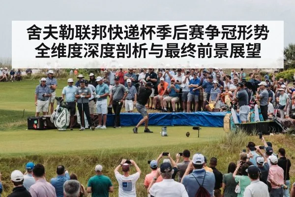舍夫勒联邦快递杯季后赛争冠形势全维度深度剖析与最终前景展望