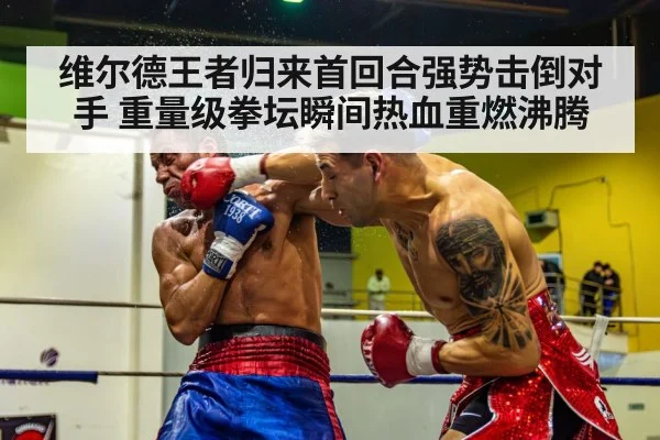 维尔德王者归来首回合强势击倒对手 重量级拳坛瞬间热血重燃沸腾